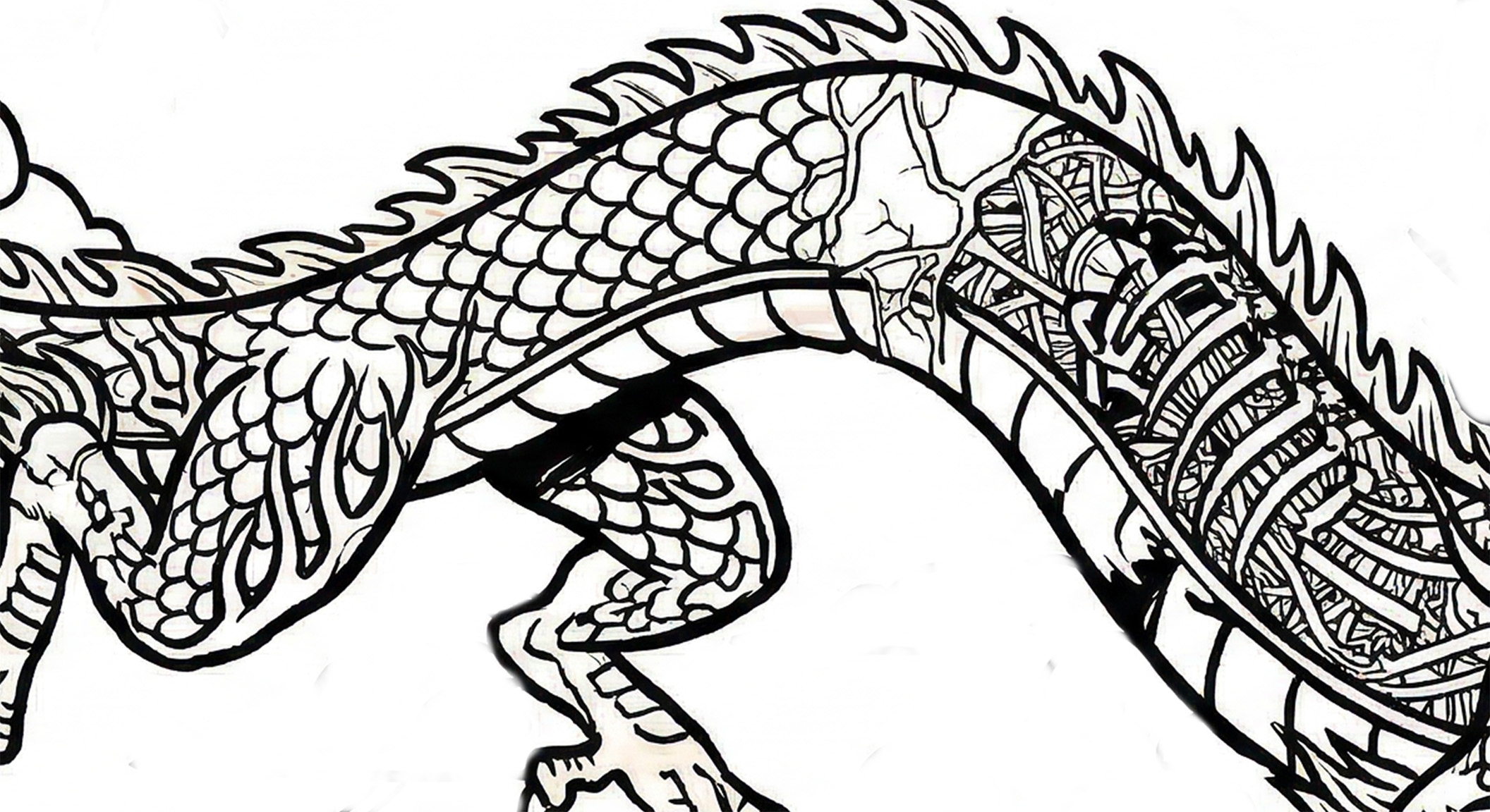 龍の線画スケッチ